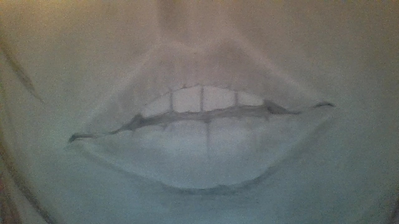 picture9603.jpg