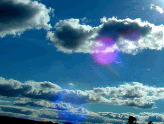 tumblr_lrpzyfhOhz1qgvur0o1_400.gif
