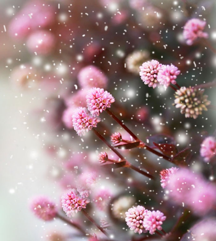 if_i_could___i_would_by_theresahelmer_d73rcht.jpg