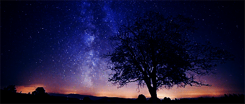 tumblr_m43pbsRtAD1qk3khso1_500.gif
