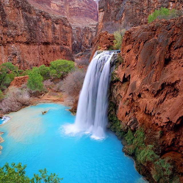 Havasu_Falls___Arizona.jpeg