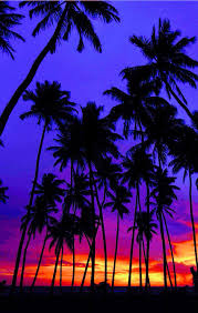 images__1_.jpg
