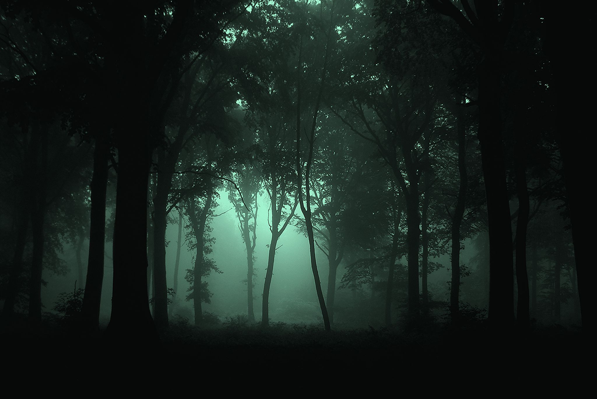 1899ce9b55d90e3eb8411af860b16839.jpg