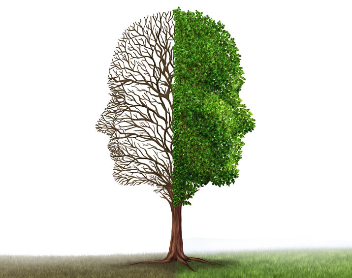 tree_graphic_representing_bipolar.jpg