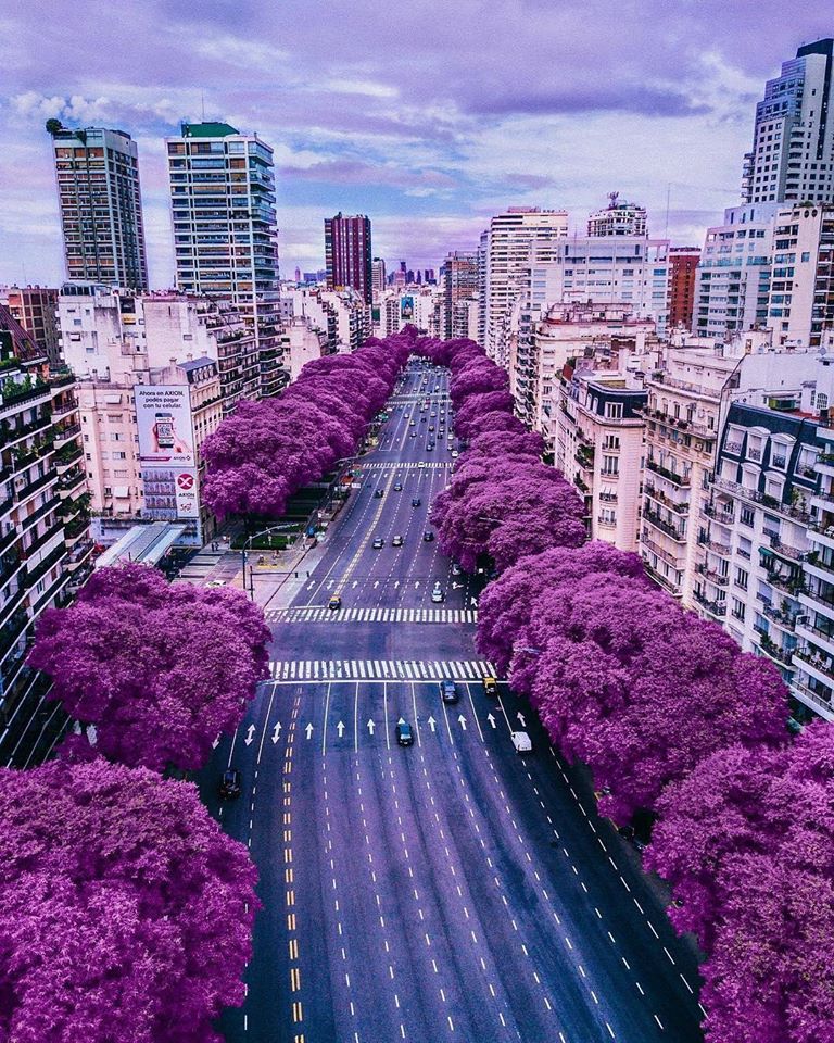 18622338_1381840248563250_2249052518023801866_n.jpg