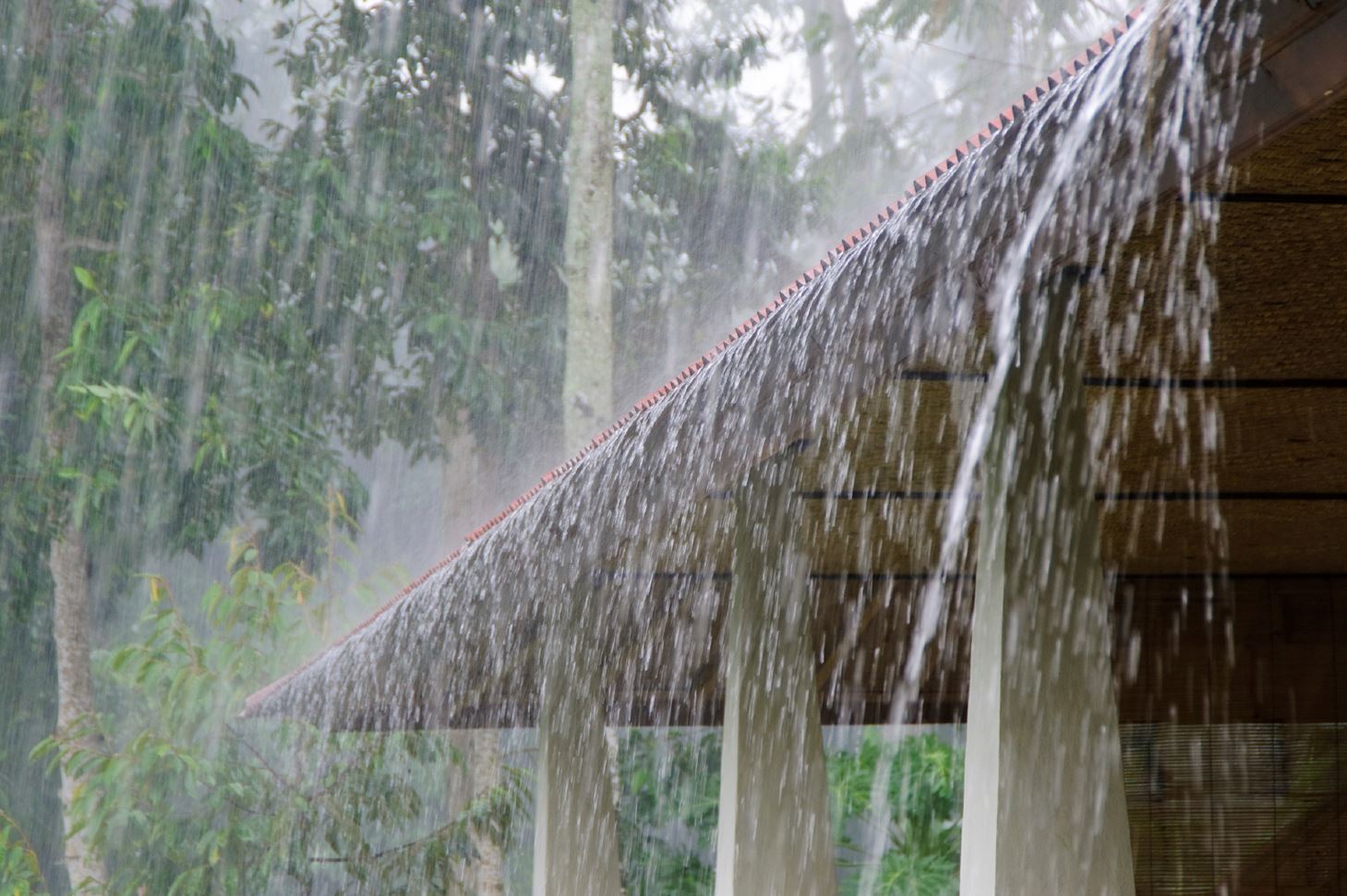Rain_Roof.jpg