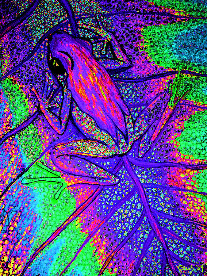 psychodelic_tree_frog_nick_gustafson.jpg