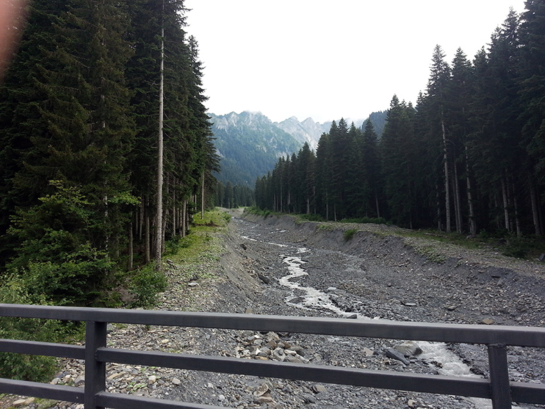 20180707_172927.jpg