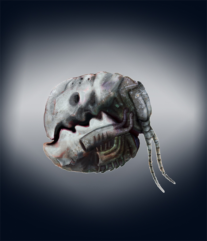 darwin_project_44444444444444444444444.jpg