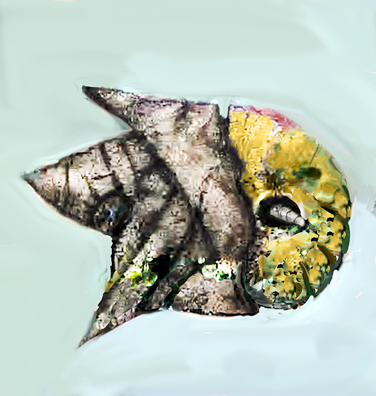 palepfish_2222222222222.jpg