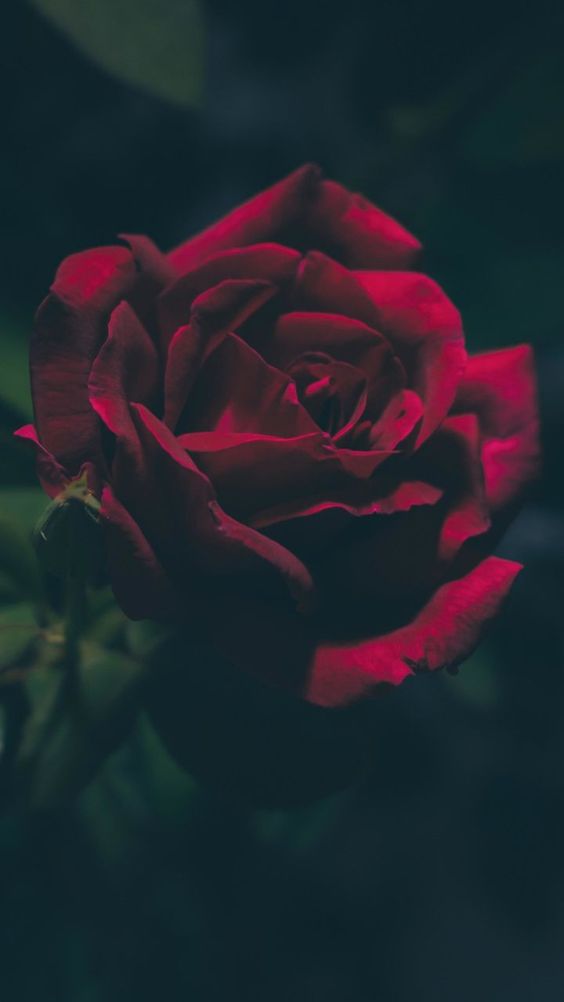18f0a0077dfa0e97ae46a4ed621ebd60.jpg