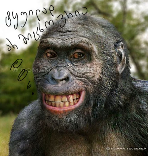 tyuilad.jpg