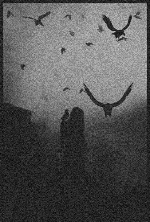 bfd427580f740a6fcae568c2f265dc1c__raven_art_the_raven.jpg