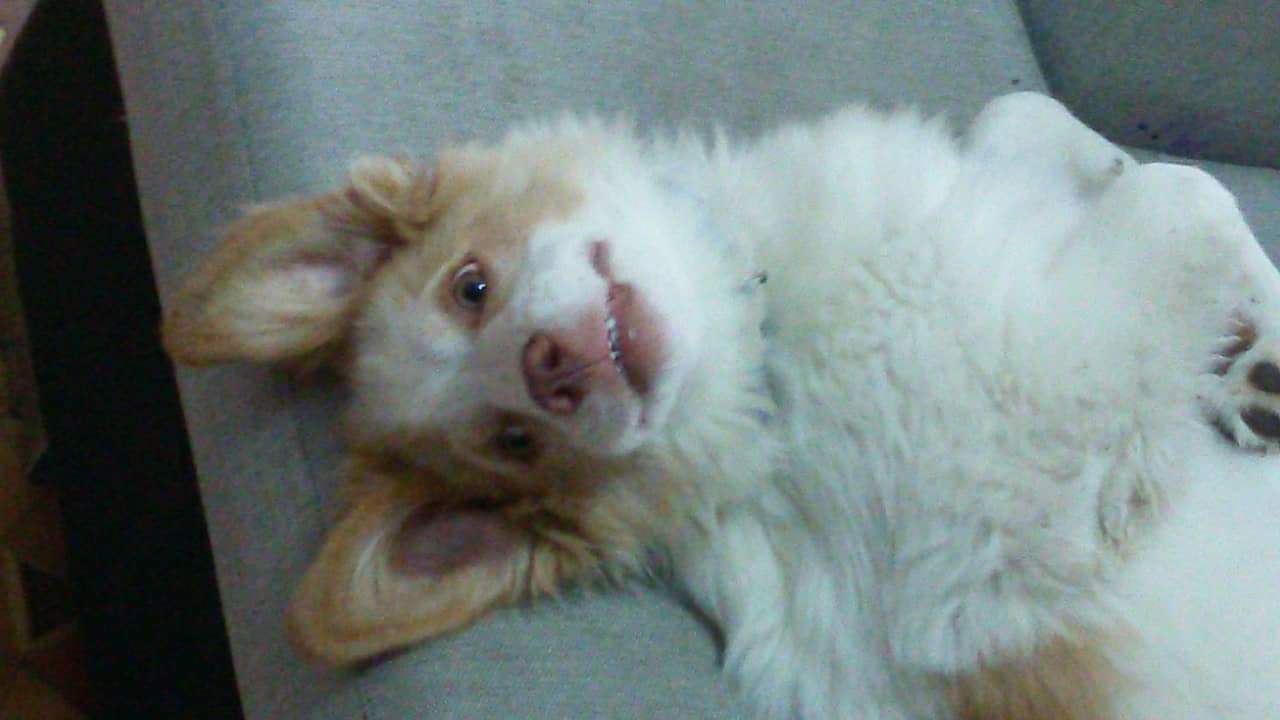 received_519987545200879.jpeg