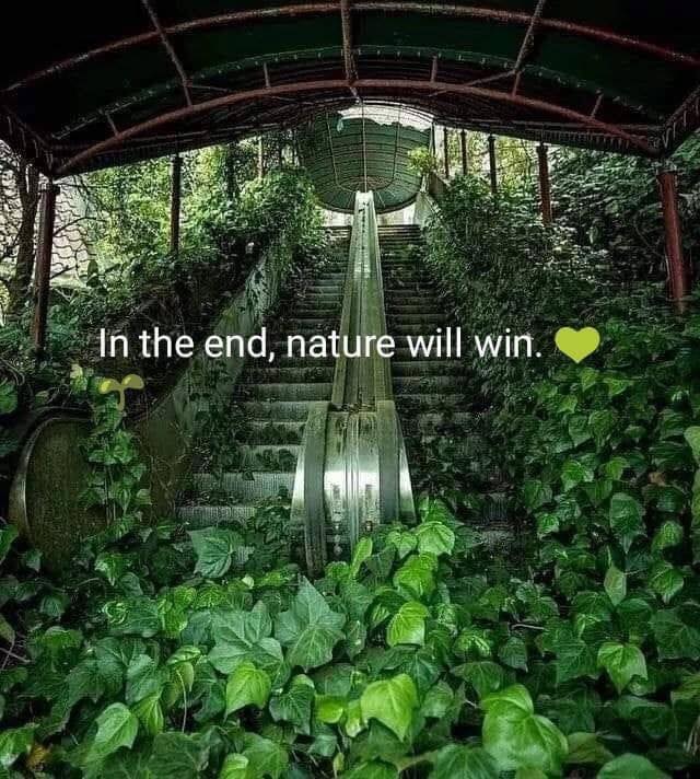 79382423_2499365003522996_3978981453907099648_n.jpg