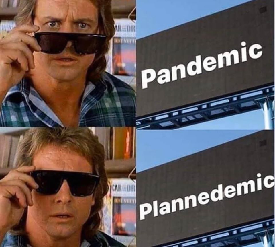 213123.jpg