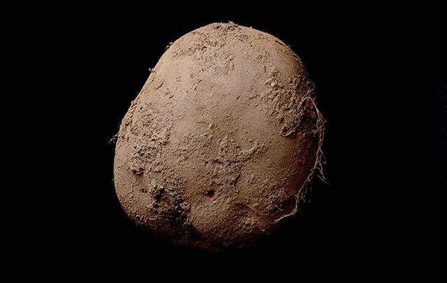 Potato.jpg