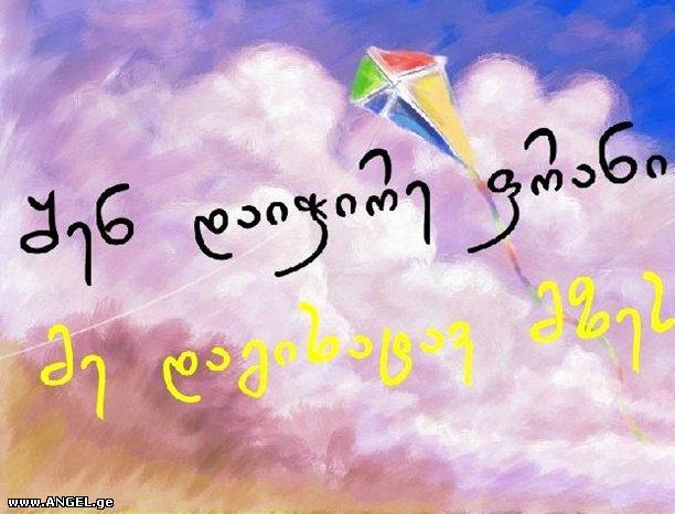 6a07ac5c6209.jpg