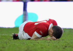 Shane_Williams_felled_1864546.jpg