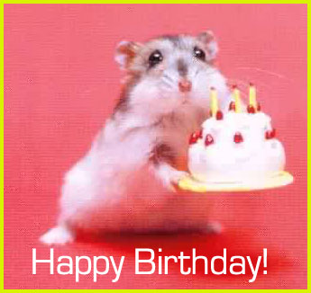 happy_birthday_hamster.jpg
