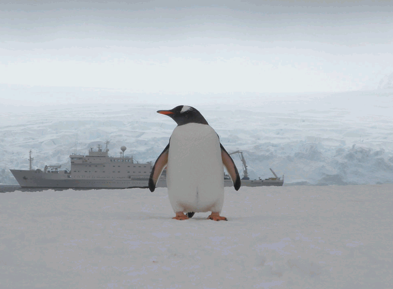 Snap1.gif