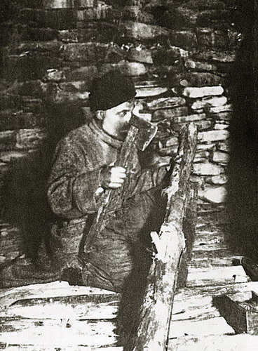 vaja.jpg