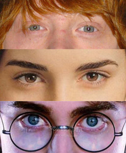 eyes_ron_hermione_y_harry.jpg