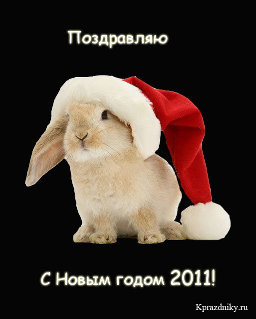 1284799129_pozdravlenija_s_novym_godom_krolika.jpg