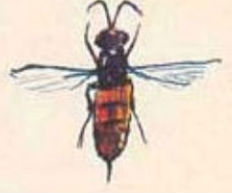 o88800.jpg