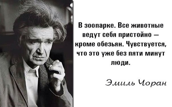 cioran.jpg