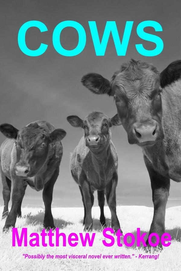 cows.jpg
