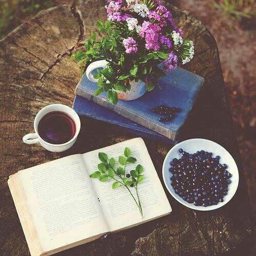 autum_book_books_coffee_Favim.com_3478205.jpg