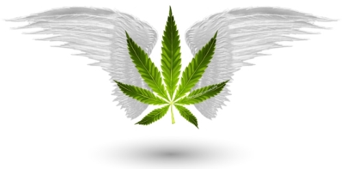 500X_Edited_Marijuana_Games_Home_Page_Image.jpg