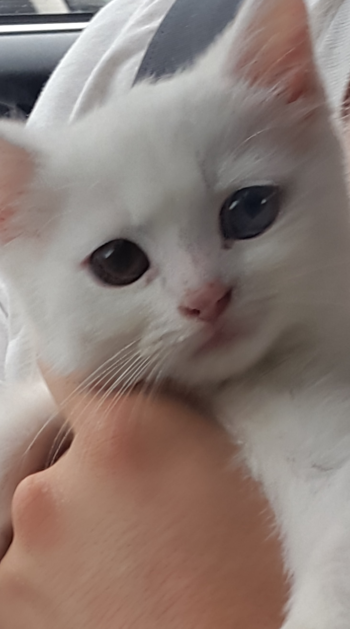 2018_10_11_22.31.53.png