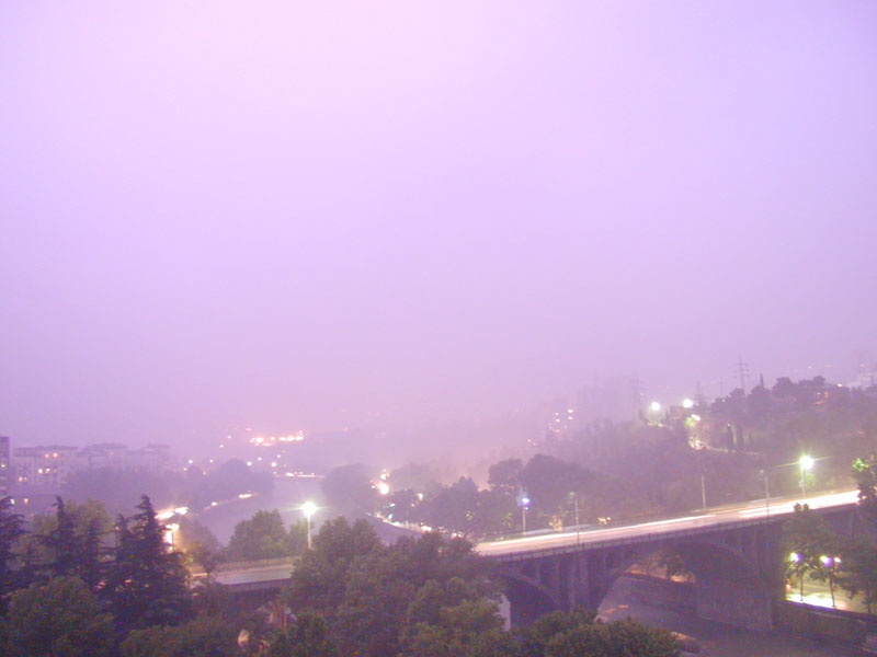 P7250446_v1.jpg