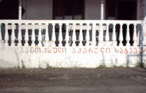 acharulipica.jpg