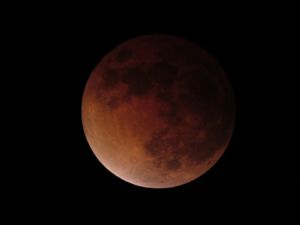 031223_lunar_eclipse_03.jpg
