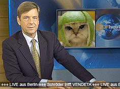 verdeta.jpg