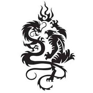 Shaolin_Tattoo__Dragon___Tiger_.jpg