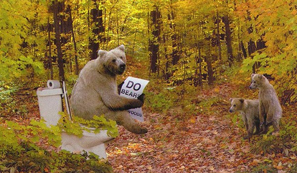 bear00000.jpg