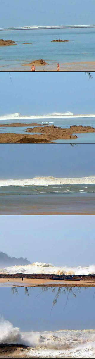 tsunami__new.jpg