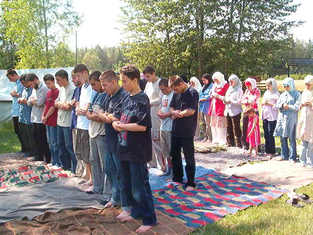 hiba3_20116.jpg