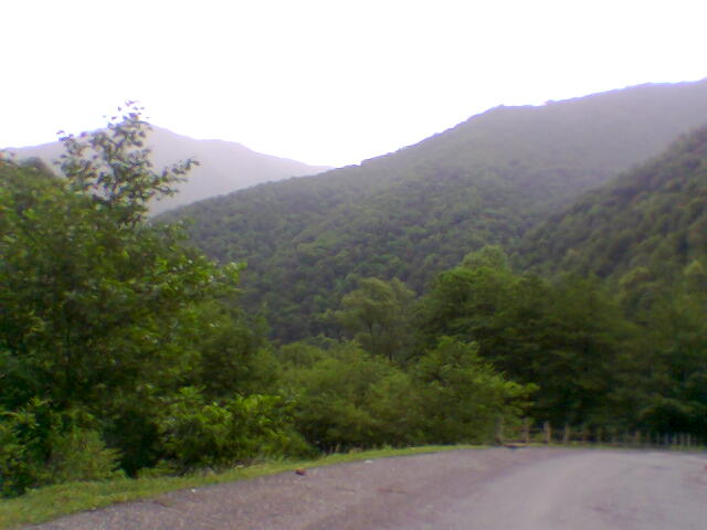 Image011.jpg