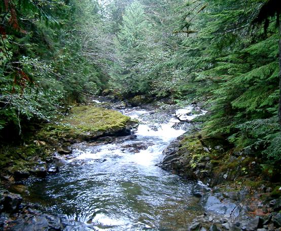 Tye_River.jpg