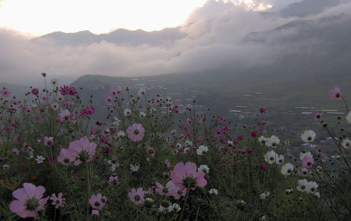 kazbegi1.jpg