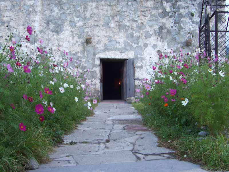 100_3763.jpg