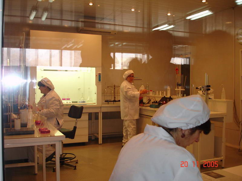 DSC06879_resize.JPG