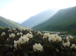 Copy_of_svaneTi_2_168.jpg