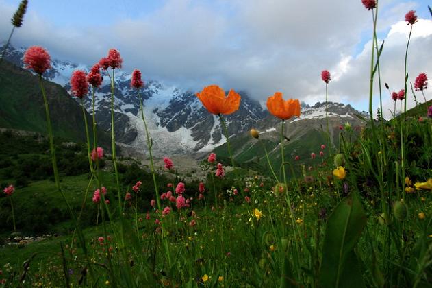 svaneti_ushgitltab.jpg