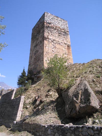 IMG_0032222.jpg